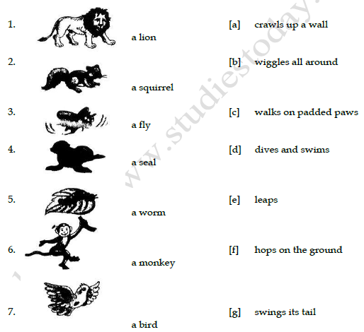 Cbse class 3 english practice worksheet how creatures move set a